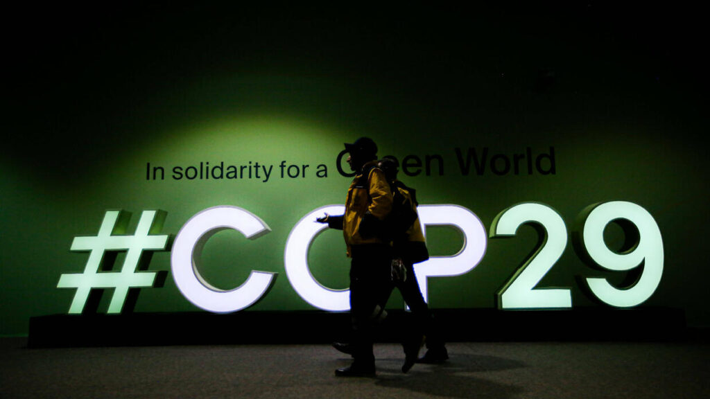 Exploration of the future trend of hydrogen energy industry from the perspective of COP29